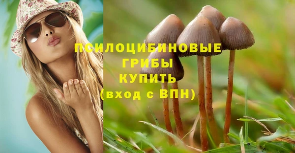 мяу мяу мука Навашино