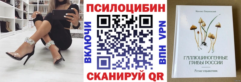 hydra ONION  Лесозаводск  Псилоцибиновые грибы Psilocybe 
