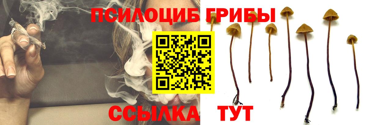 Меф Лесозаводск